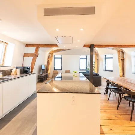 Spacious Modern Appartments In The Heart Of Apartment Brussels